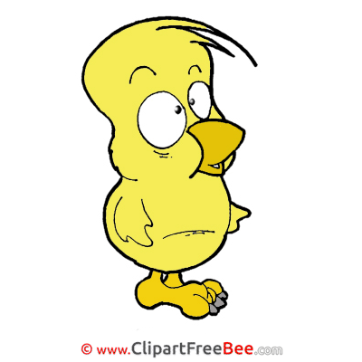 Chicken Easter Illustrations for free Chicken Easter Illustrations for free