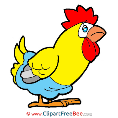 Cock download Clipart Easter Cliparts