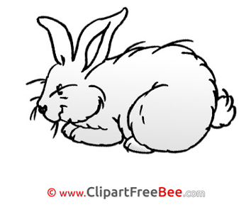 White Rabbit Clipart Easter Illustrations