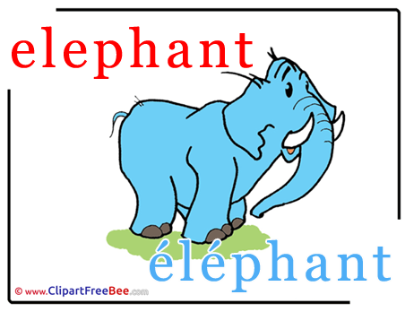 Elephant Clipart Alphabet Illustrations
