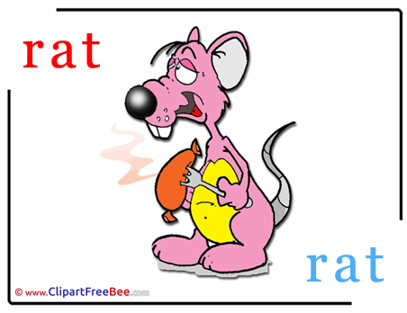 Rat Alphabet Illustrations for free Rat Alphabet Illustrations for free