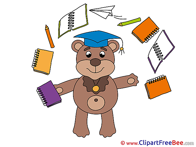 Bear free Illustration Graduation