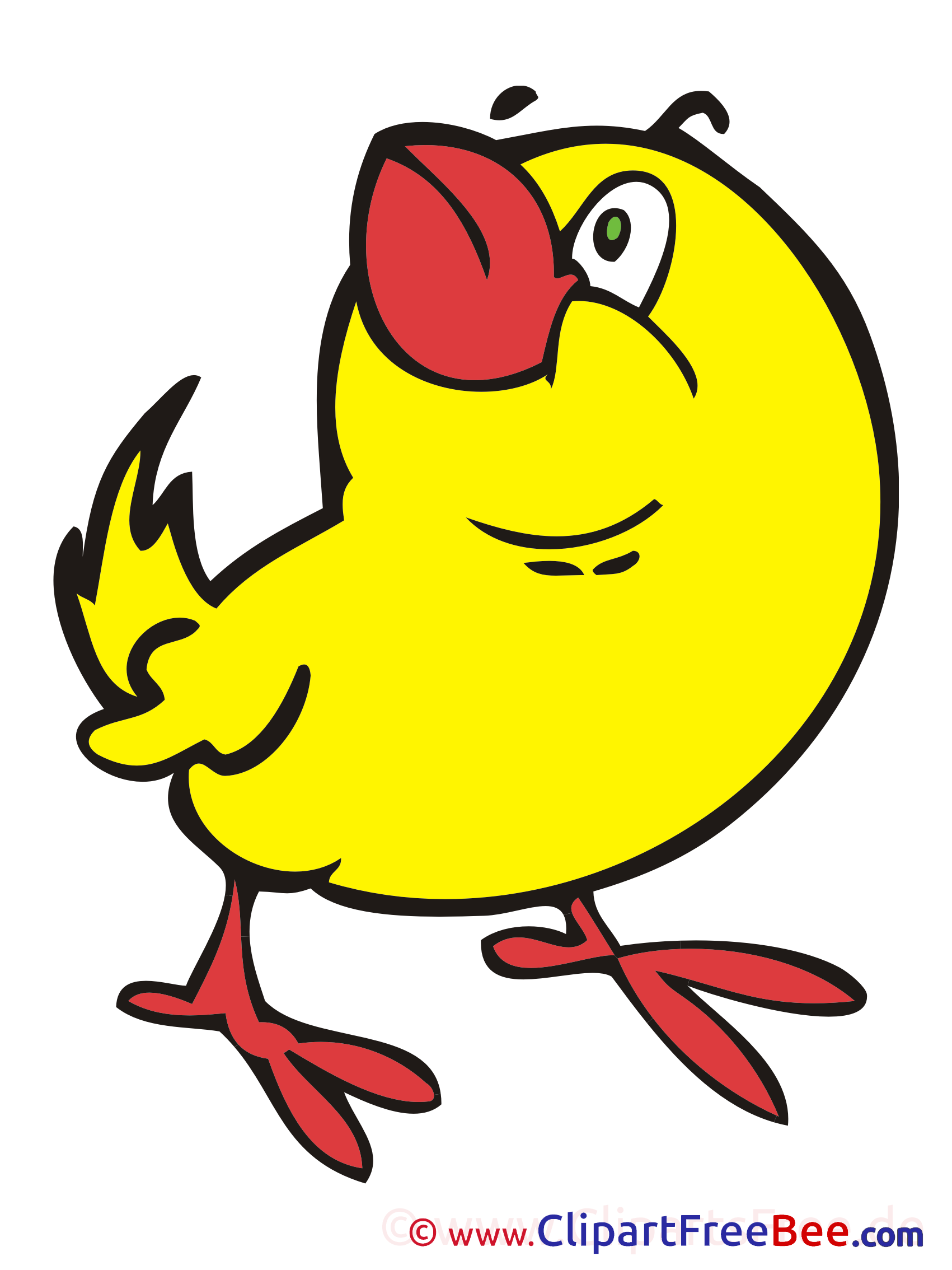 Bird Chicken Pics download Illustration Bird Chicken Pics download Illustration