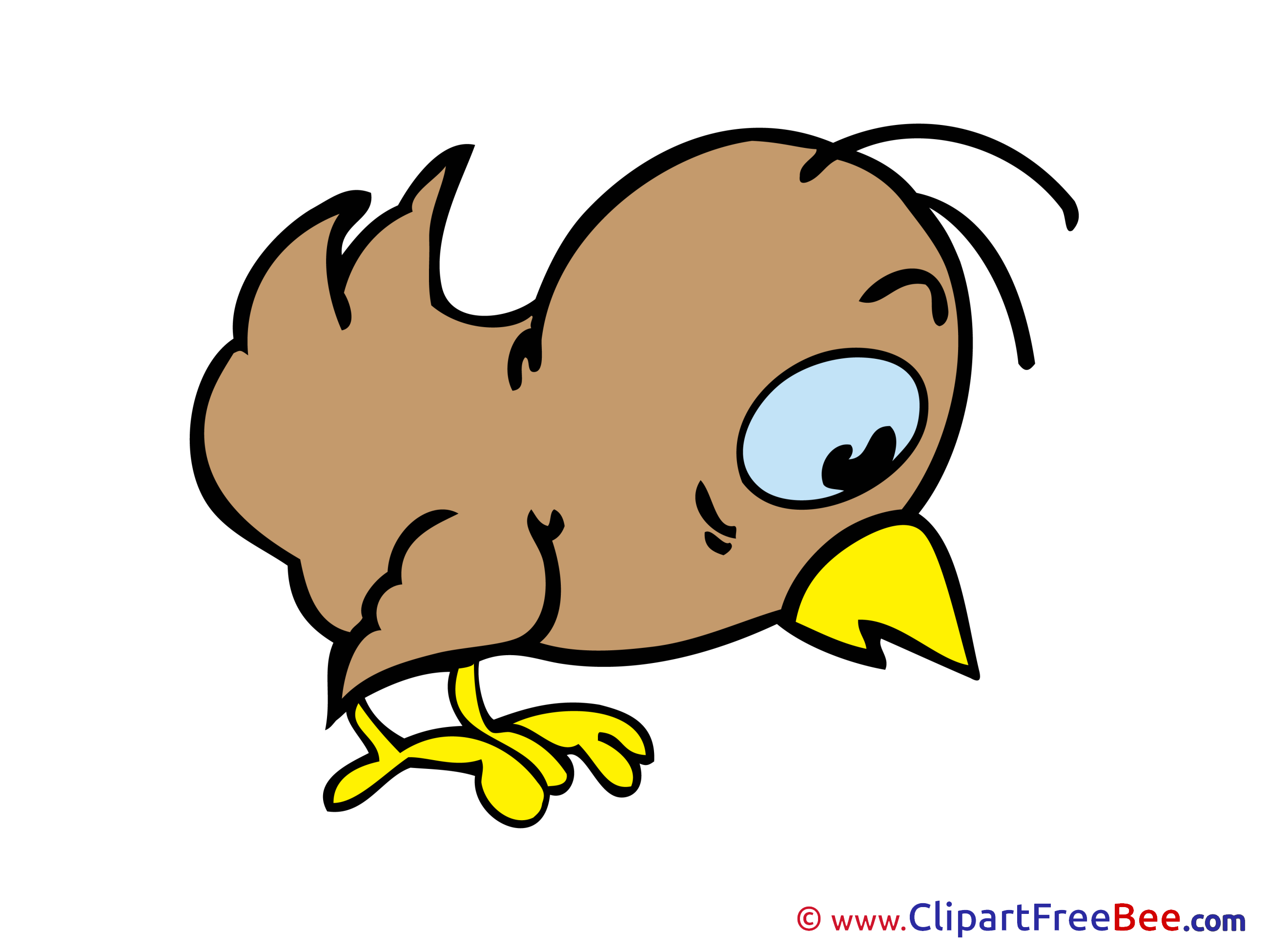 Chick Bird free Illustration download