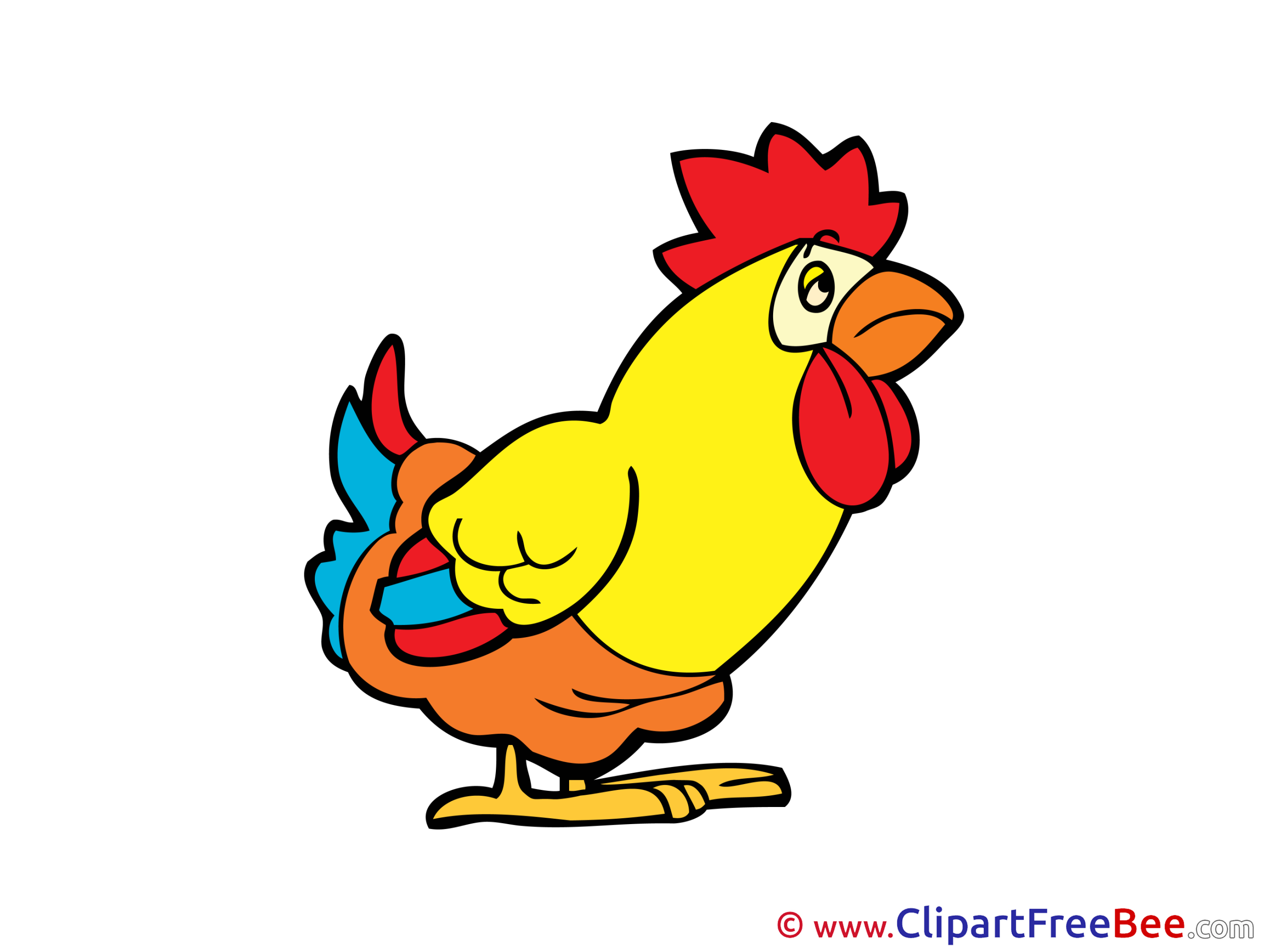 Cock Clipart free Illustrations