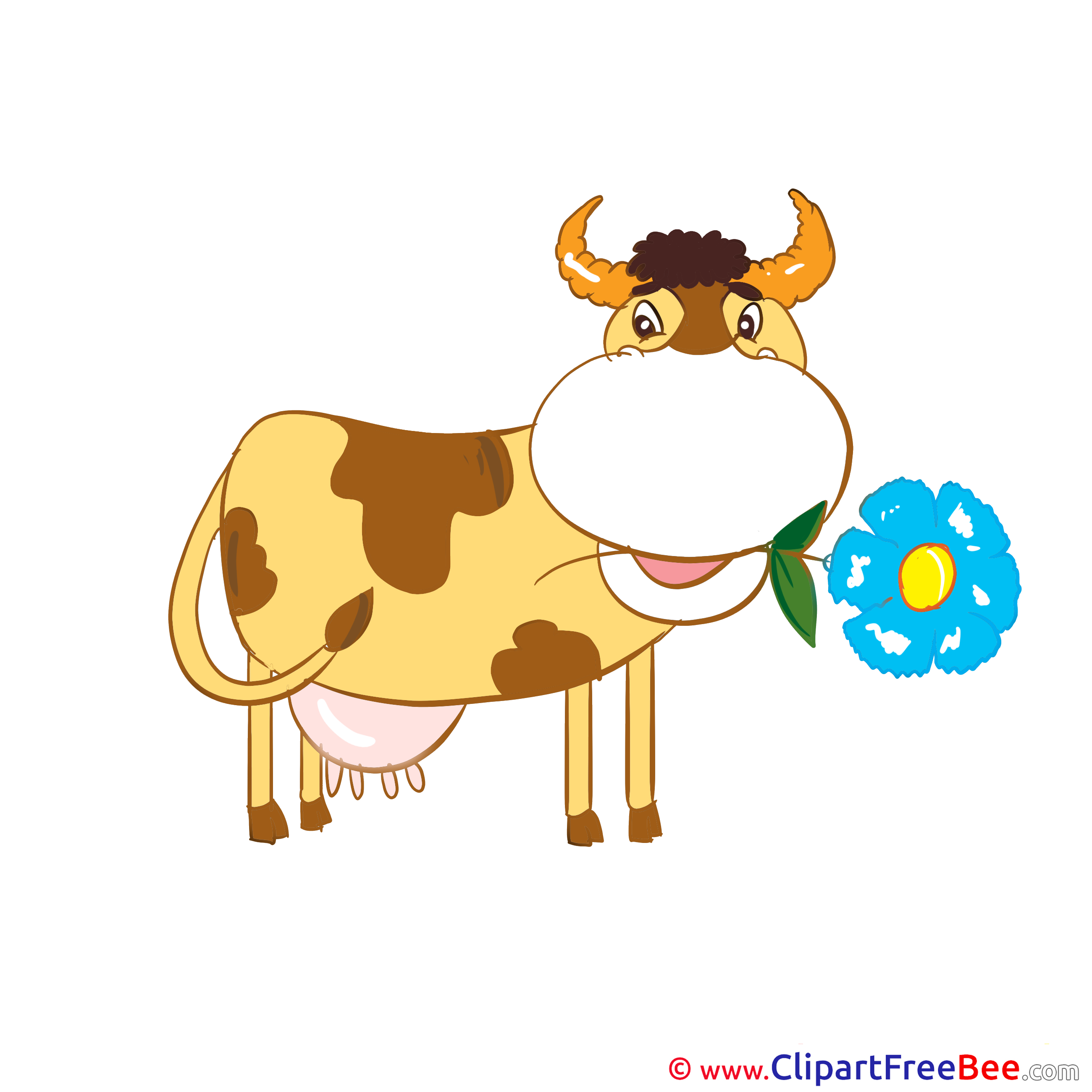 Cow Flower Pics free Illustration