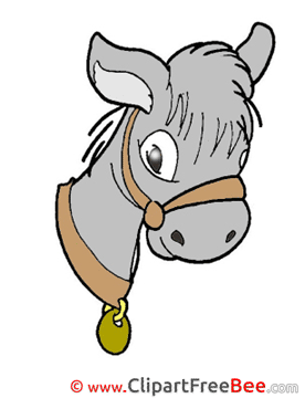 Donkey Pics free download Image Donkey Pics free download Image