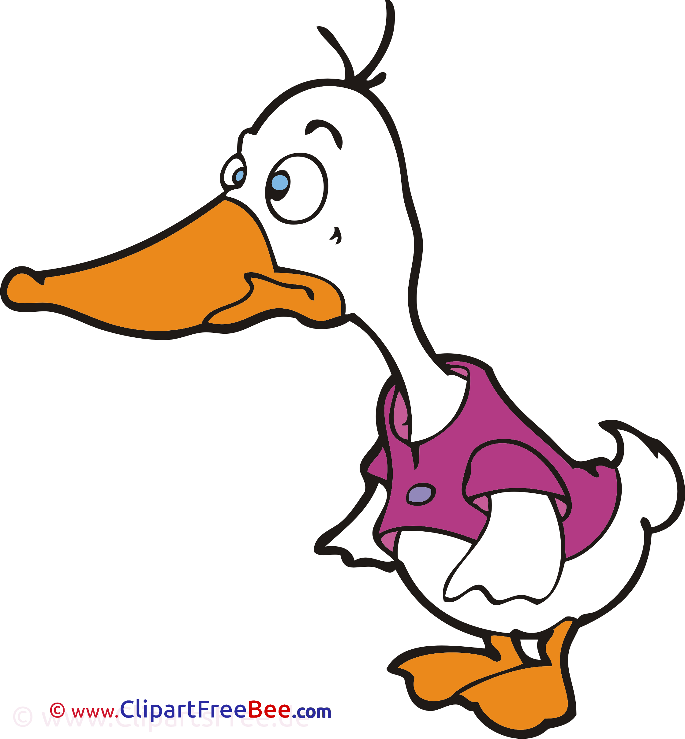 Duck Images download free Cliparts