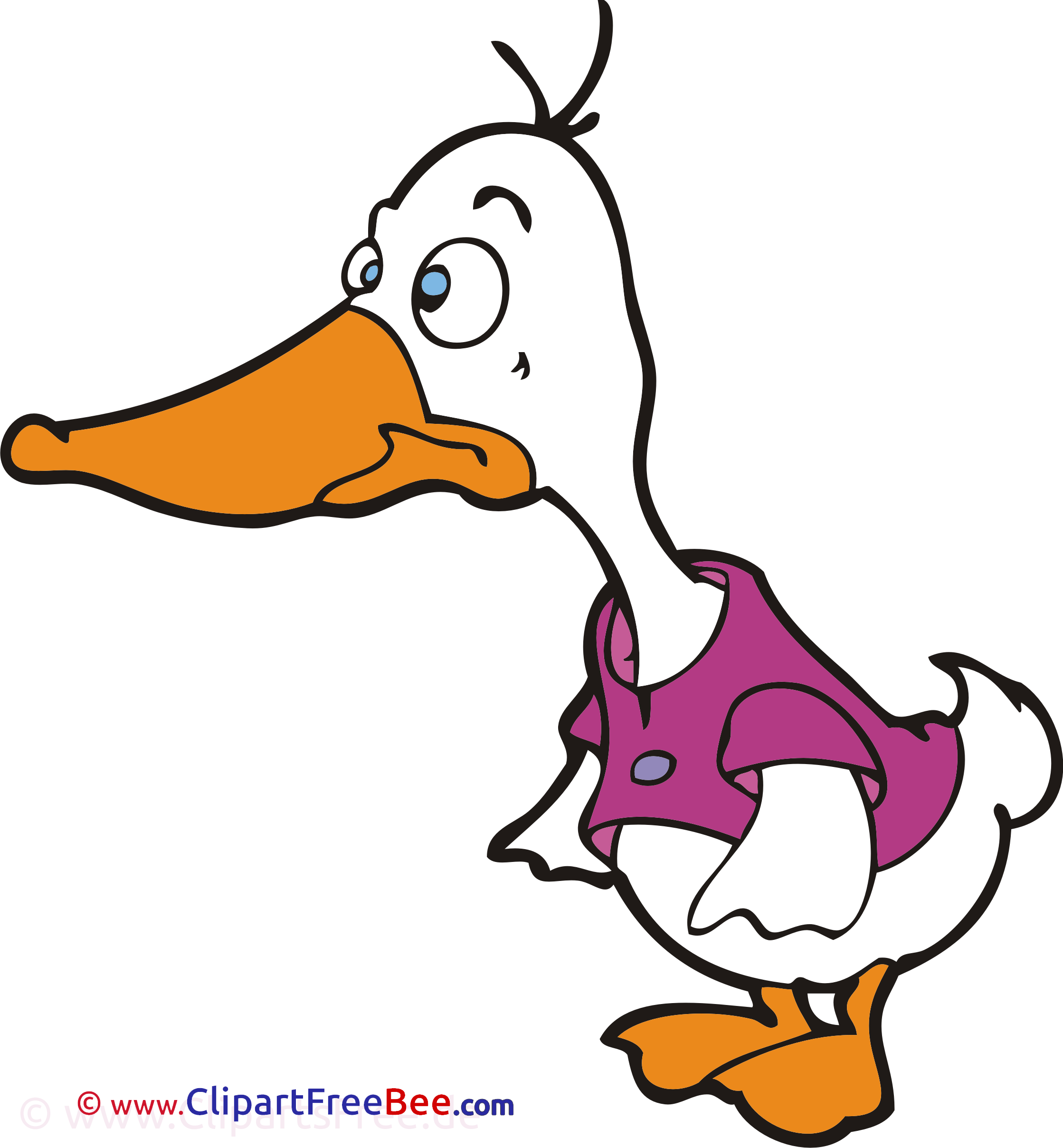 Duck Images download free Cliparts Duck Images download free Cliparts