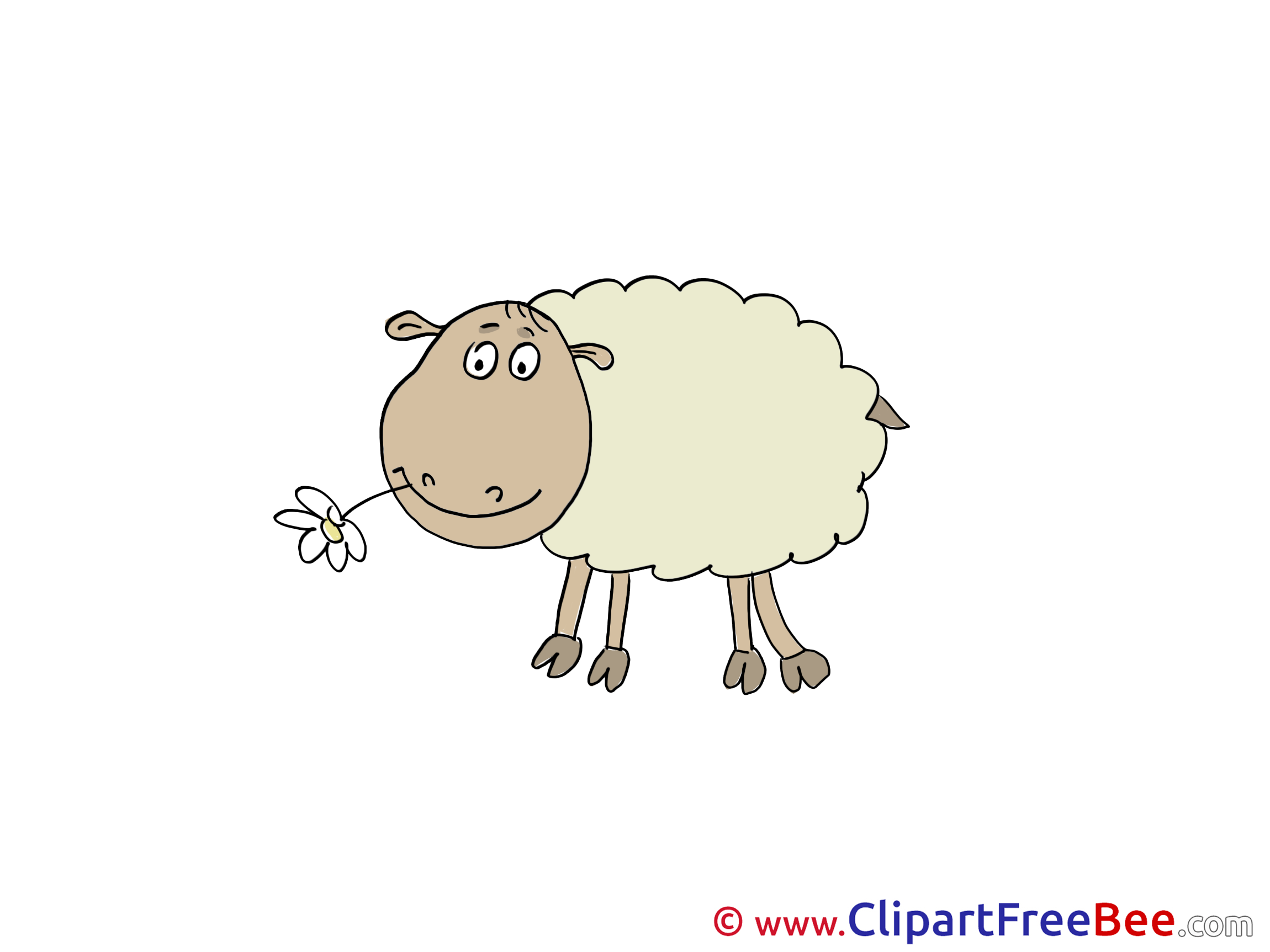 Eating Sheep free Illustration download