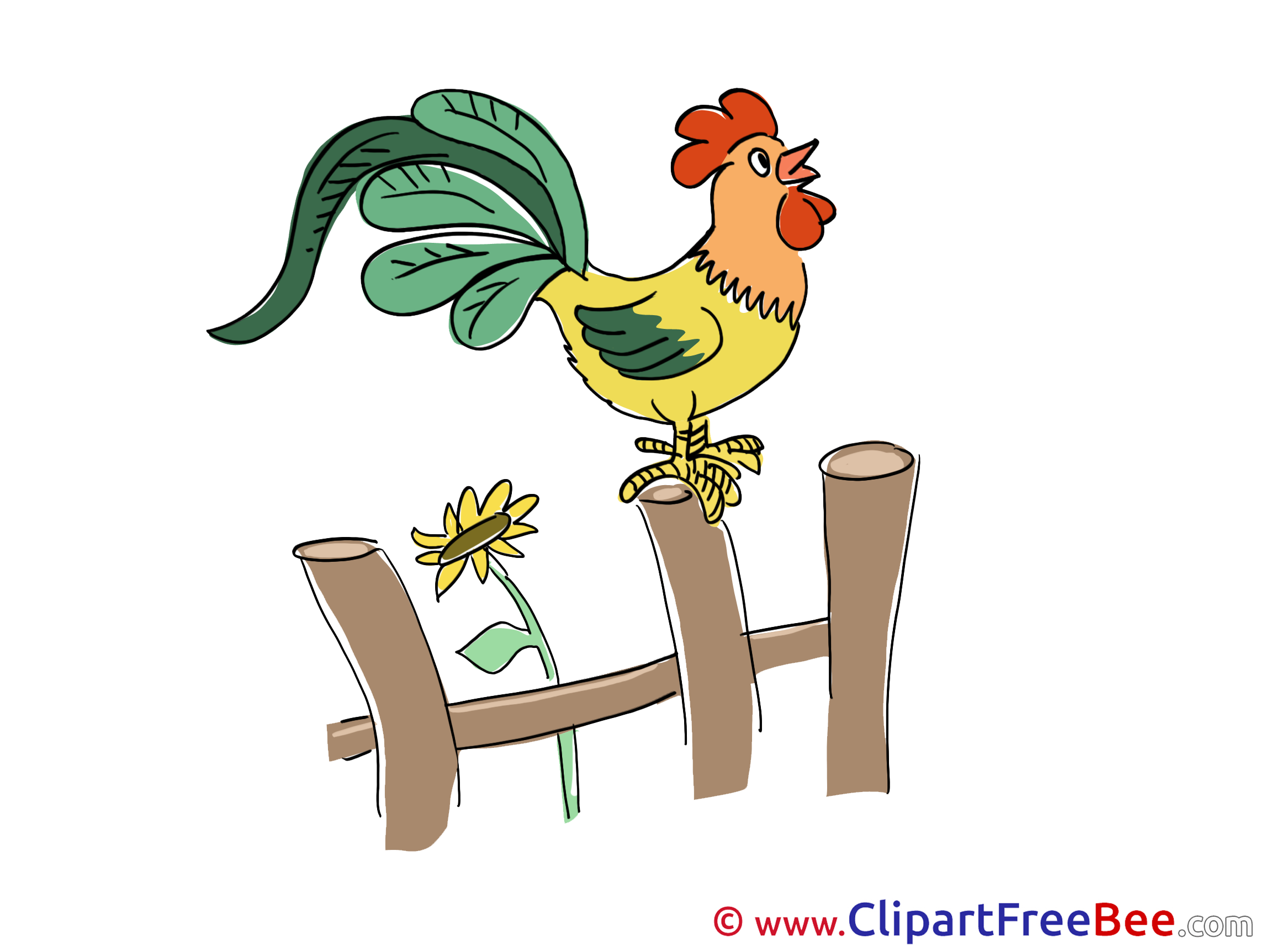 Cock Clip Art 67