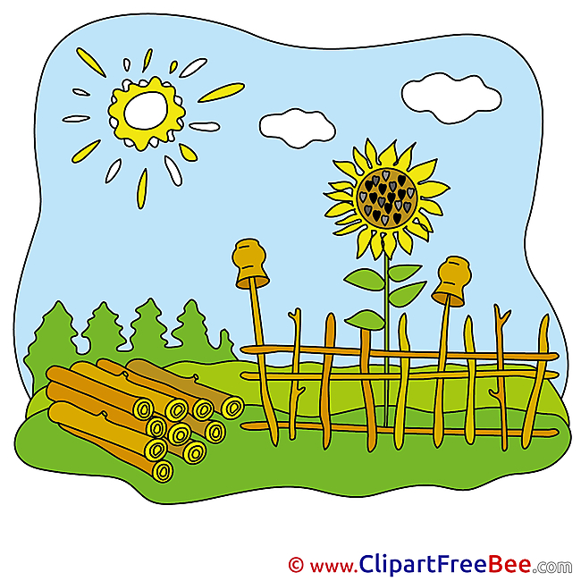 Fence Sunflowers Sun Images download free Cliparts