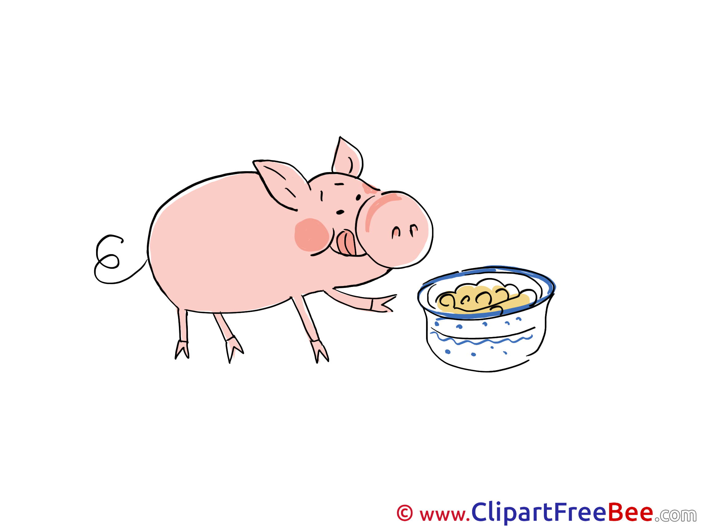 Food Pig Pics free Illustration