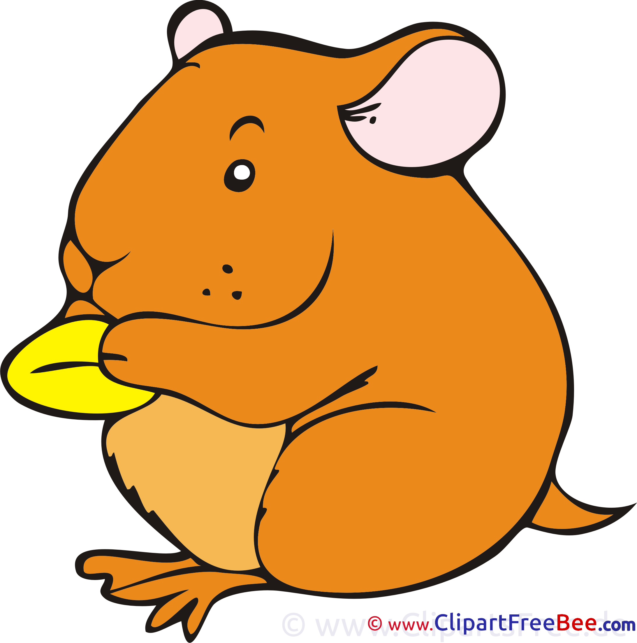 Hamster download printable Illustrations