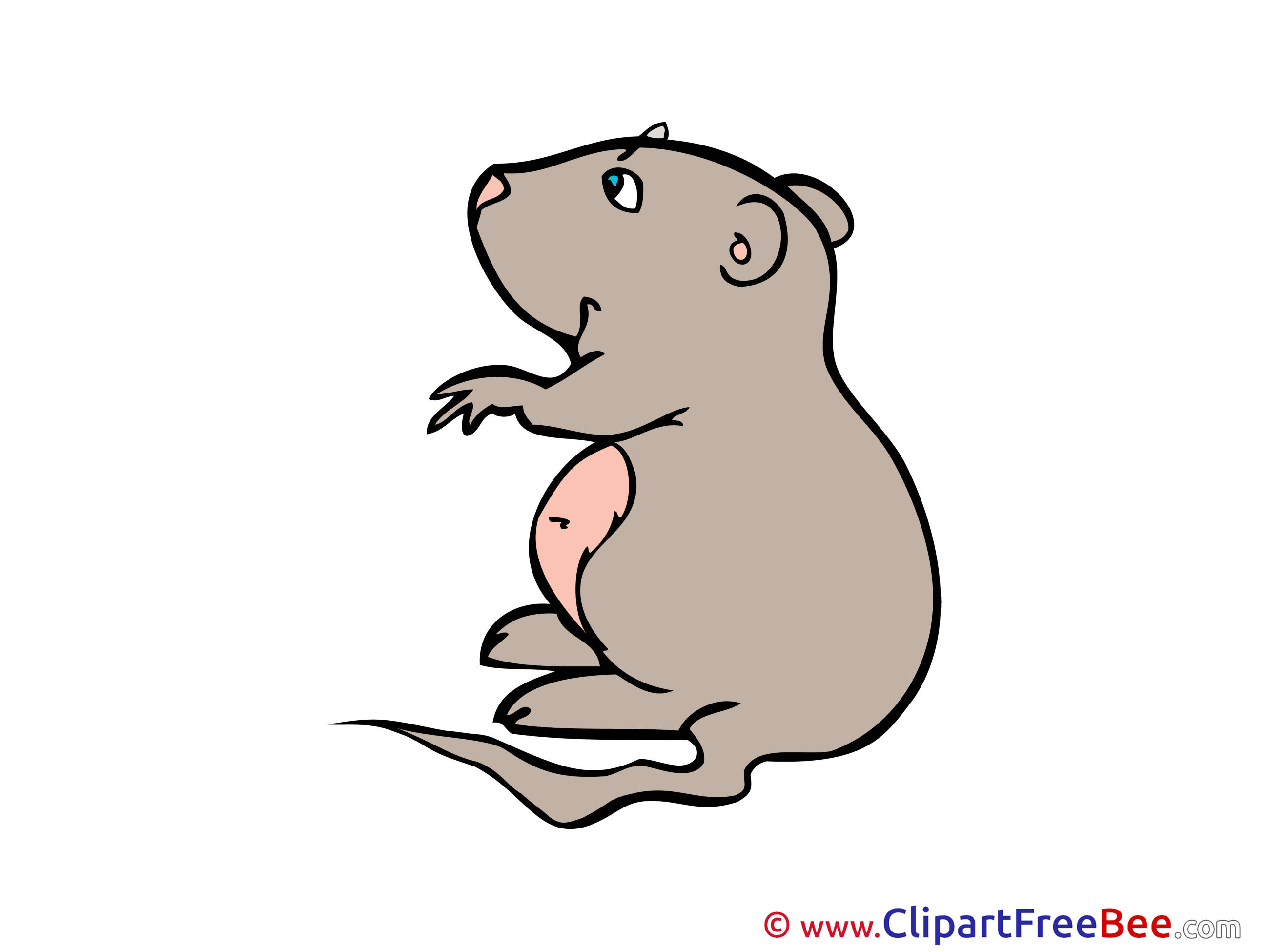 Hamster free printable Cliparts and Images