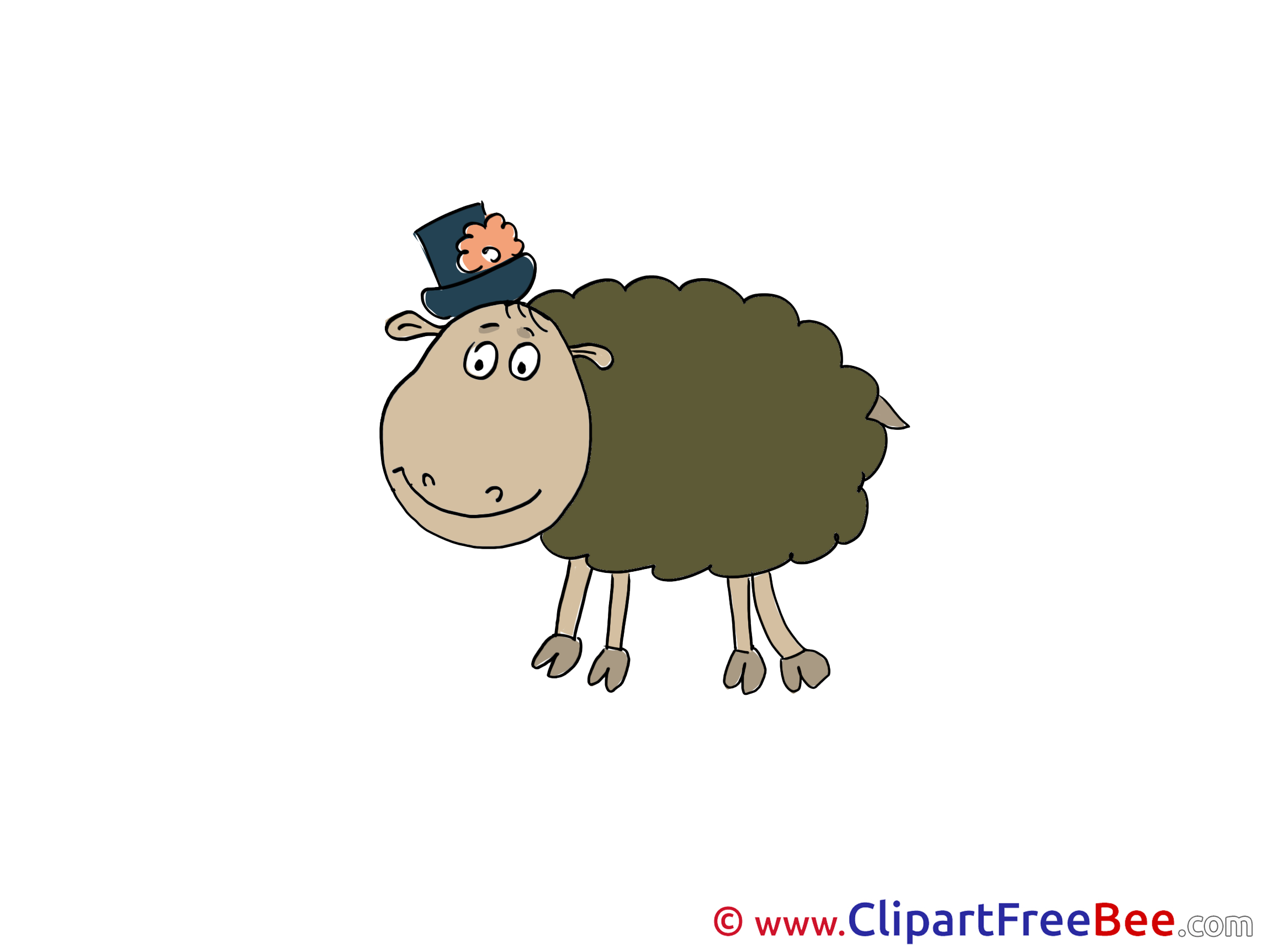 Hat Sheep Pics free download Image Hat Sheep Pics free download Image