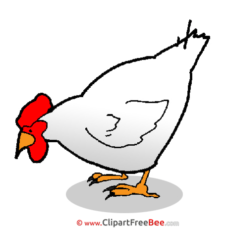 Hen Images download free Cliparts