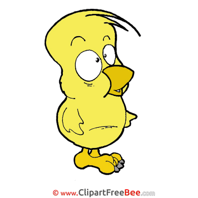 Image Chicken free printable Cliparts and Images