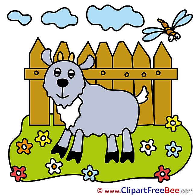 Meadow Flowers Goat Pics free Illustration