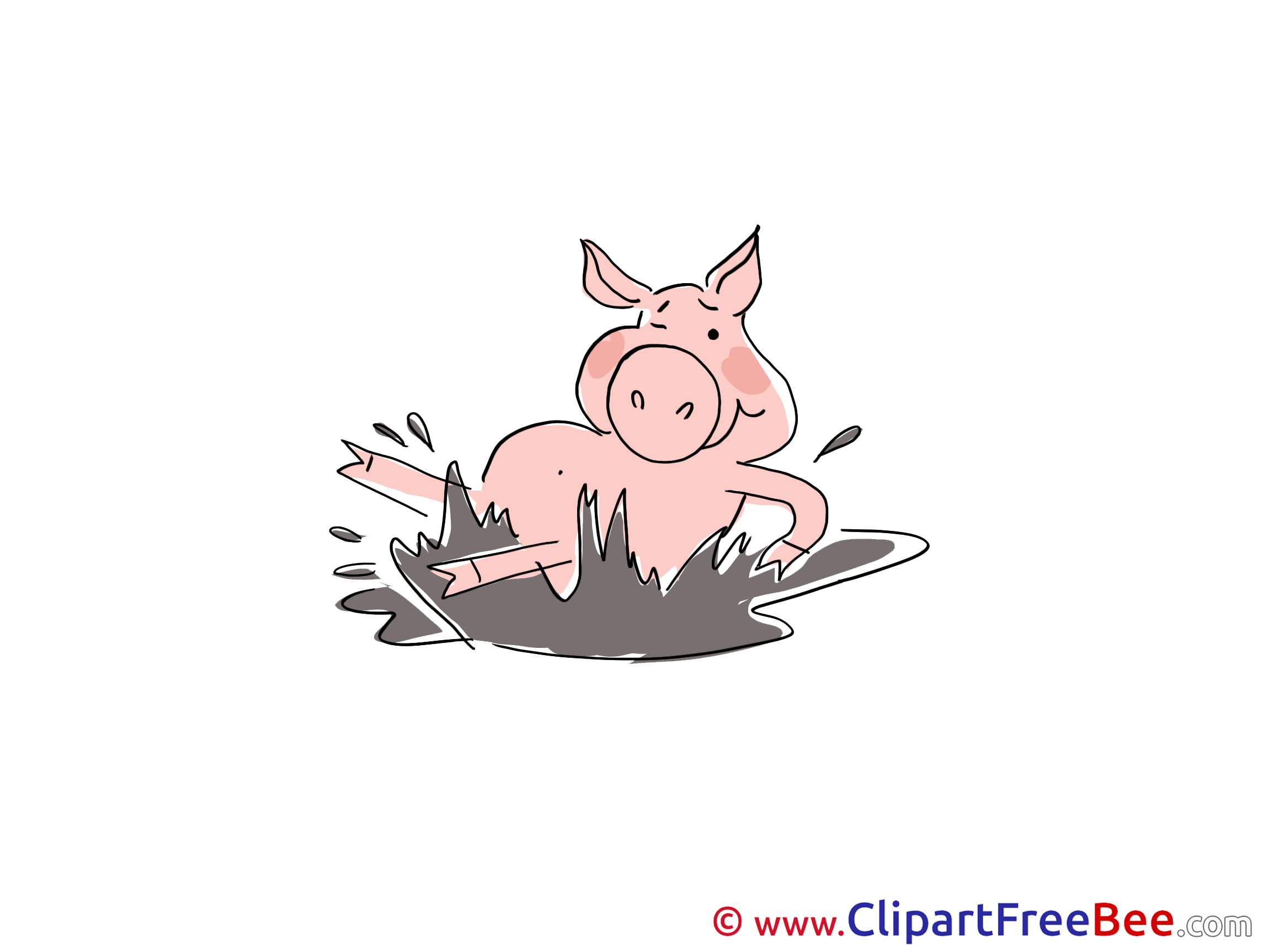 Mud Pig Clip Art download for free