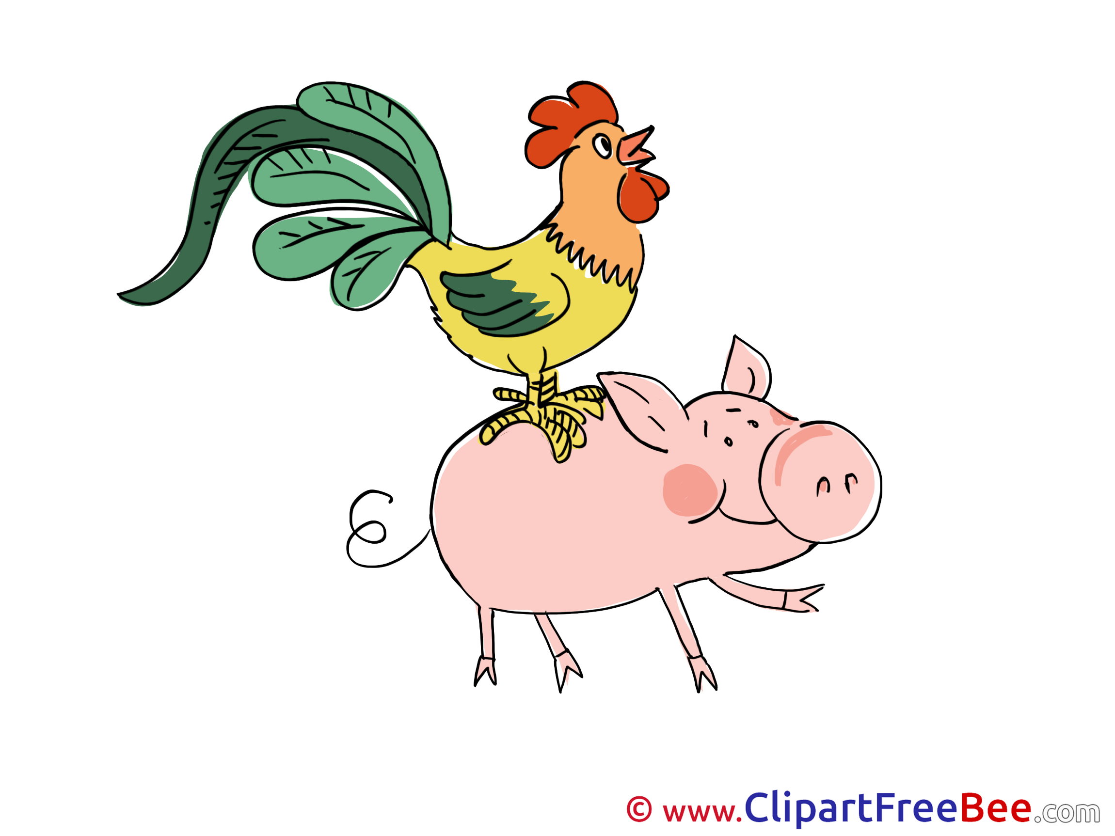 Piggy Chicken Clipart free Illustrations Piggy Chicken Clipart free Illustrations