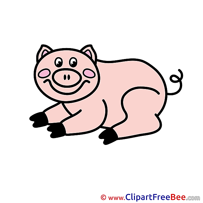 Piggy free Illustration download