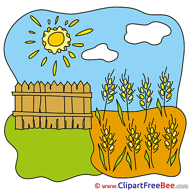 Wheat Sun Clouds Clipart free Illustrations