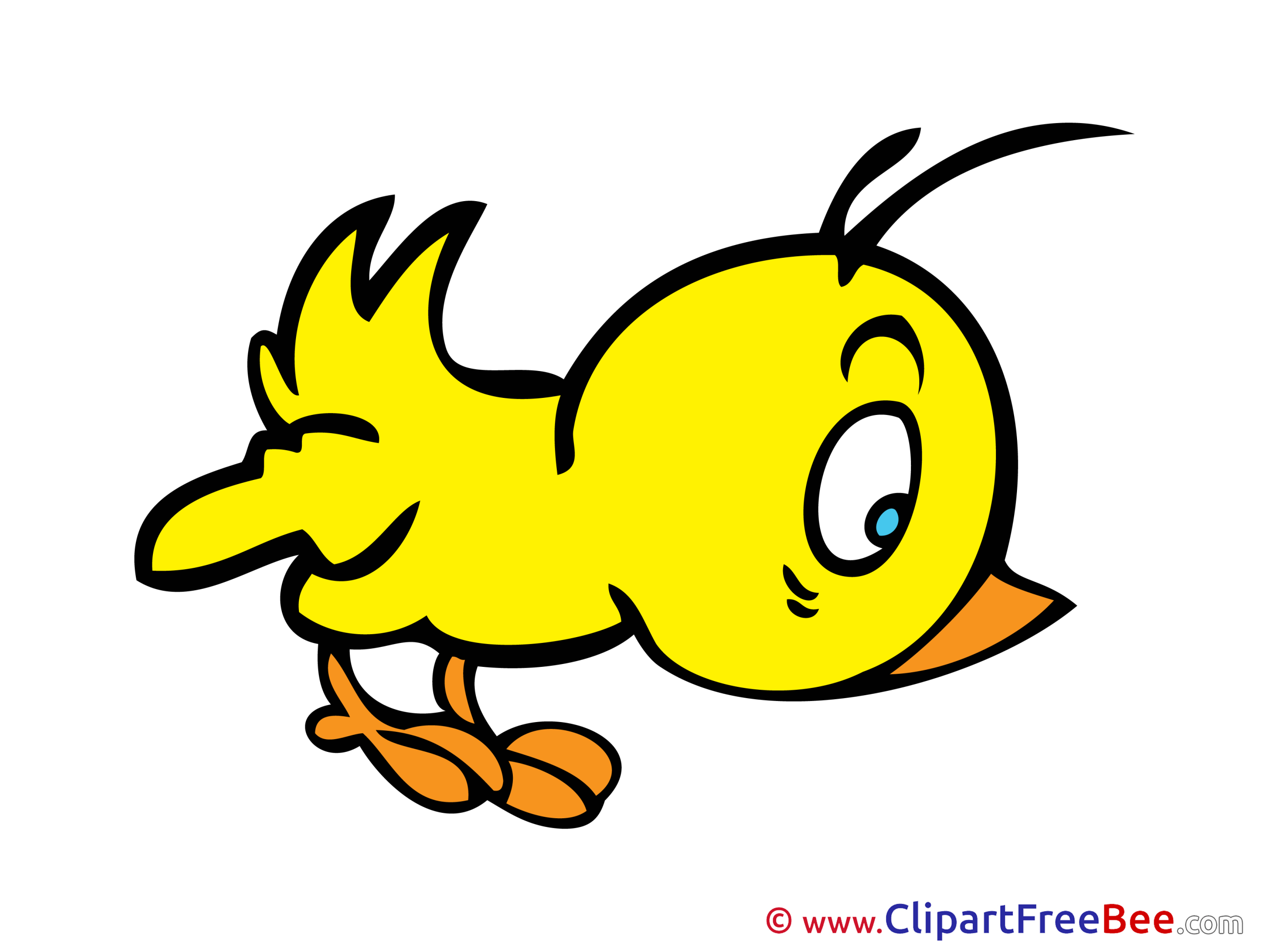 Yellow Chick Pics printable Cliparts