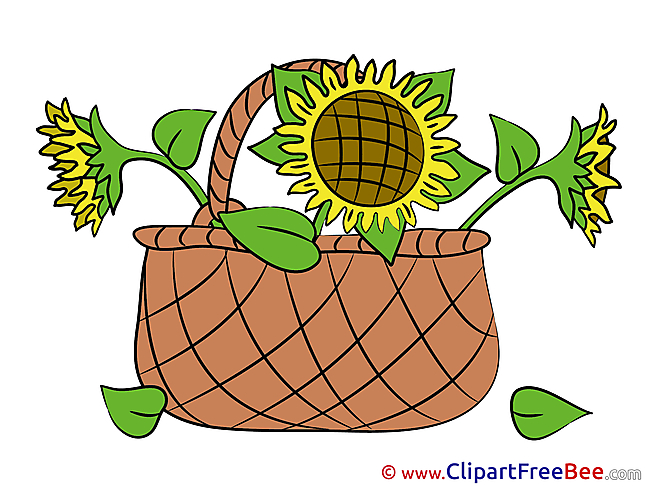 Basket with Sunflowers Pics Flowers free Cliparts