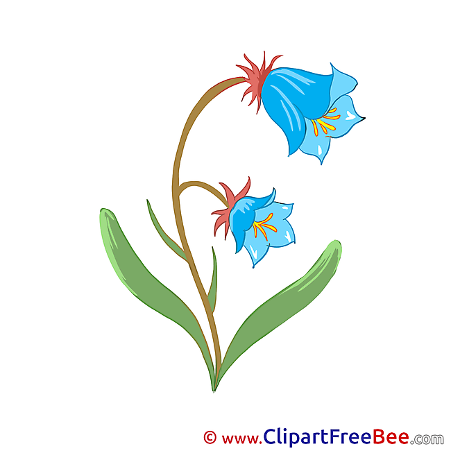 Blue Flowers free Illustration