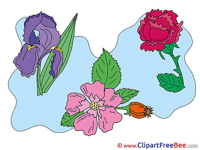 Clipart beautiful Flowers Illustrations