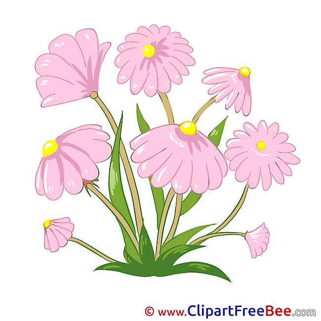 Field Flowers download Clipart Flowers Cliparts