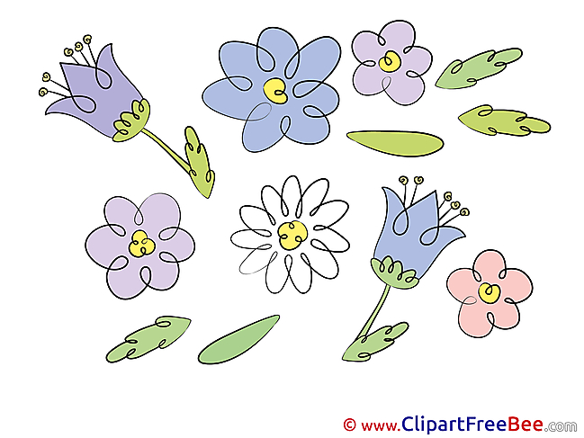 Flowering Flowers free Images download