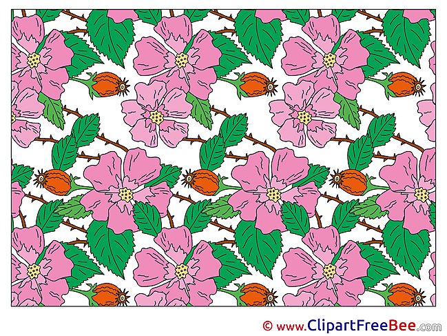 Pics Wallpaper Flowers free Cliparts