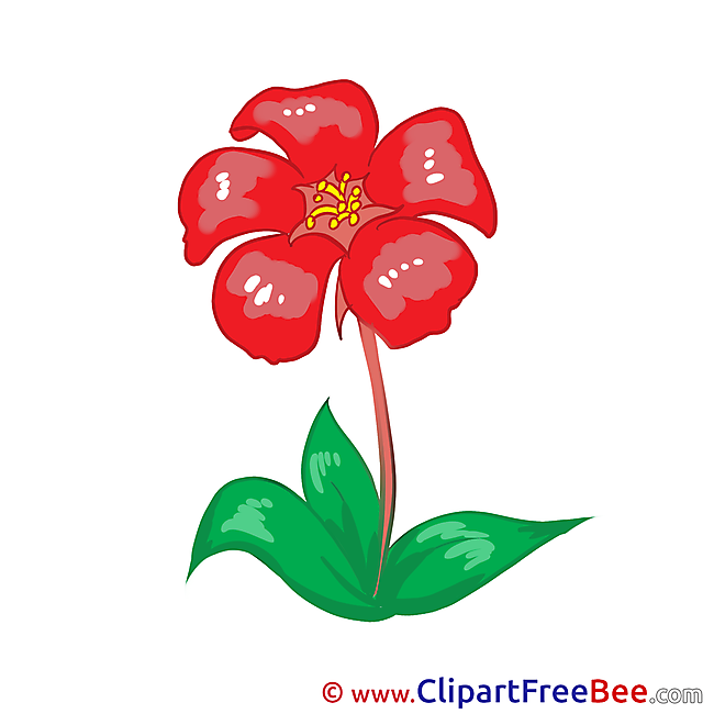 Red Flowers printable Images