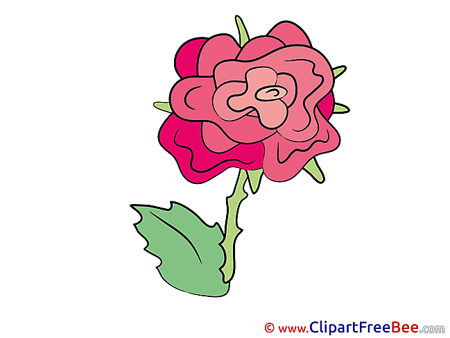 Rose printable Illustrations Flowers