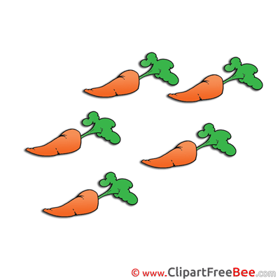 Carrots free Cliparts for download