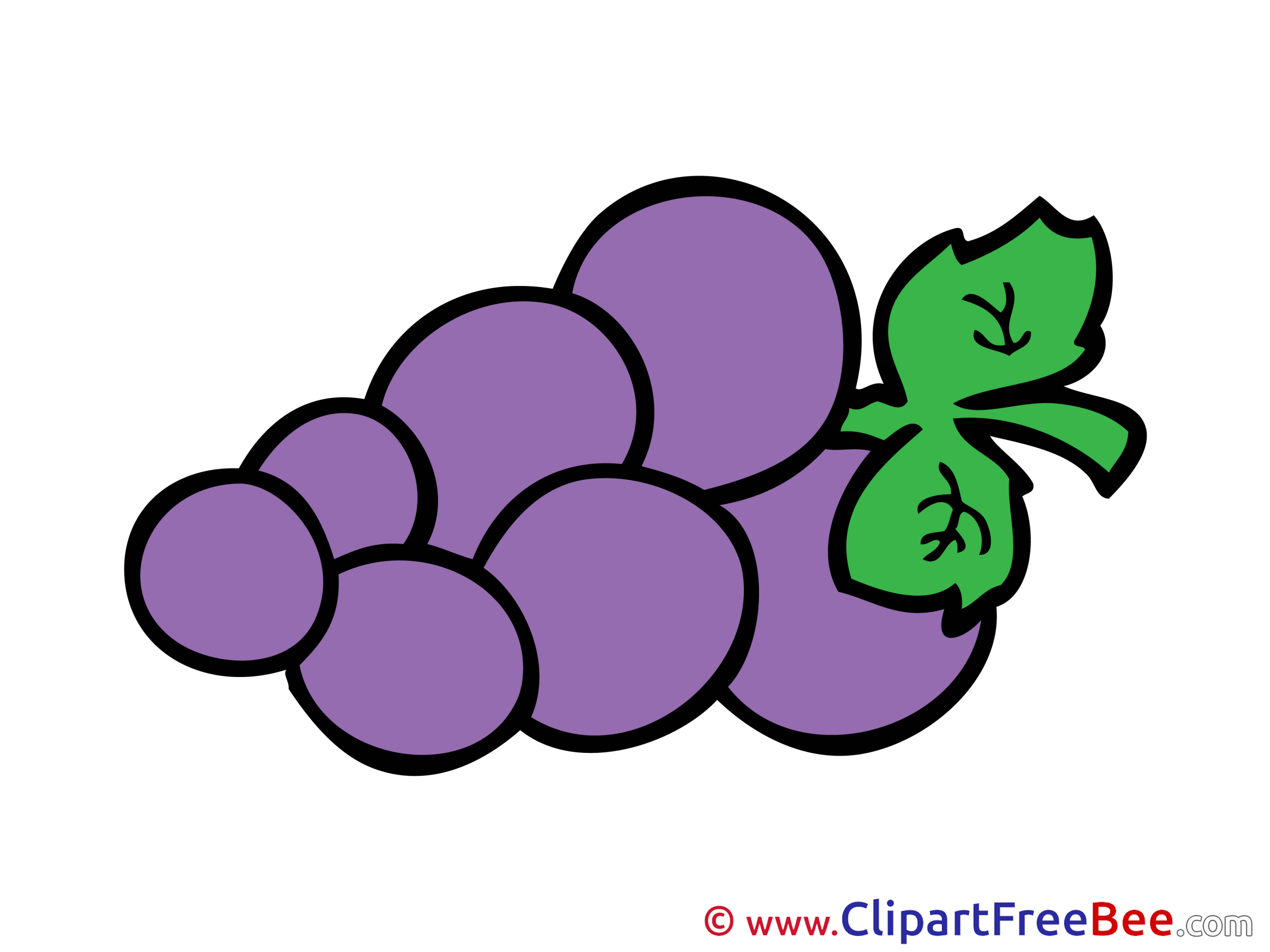Grape free Cliparts for download