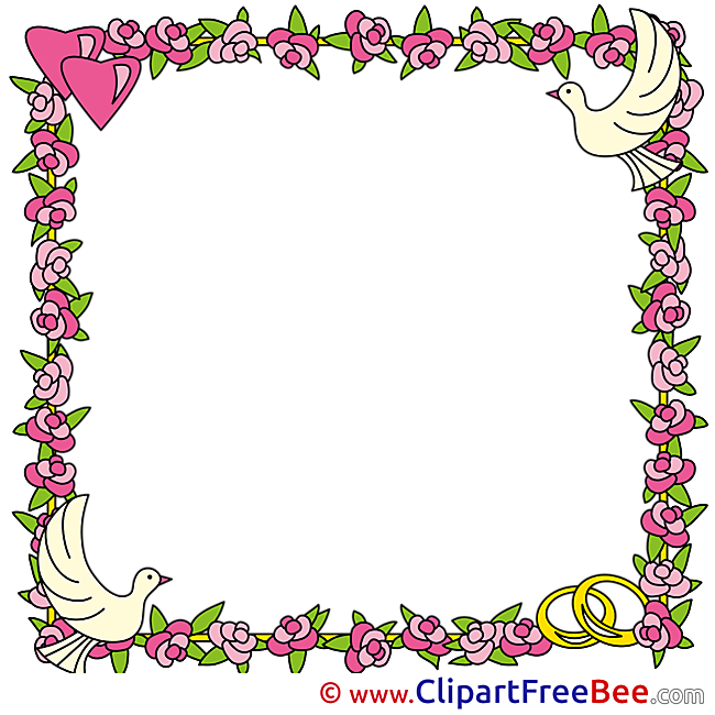 Blossom Pics Frames free Image