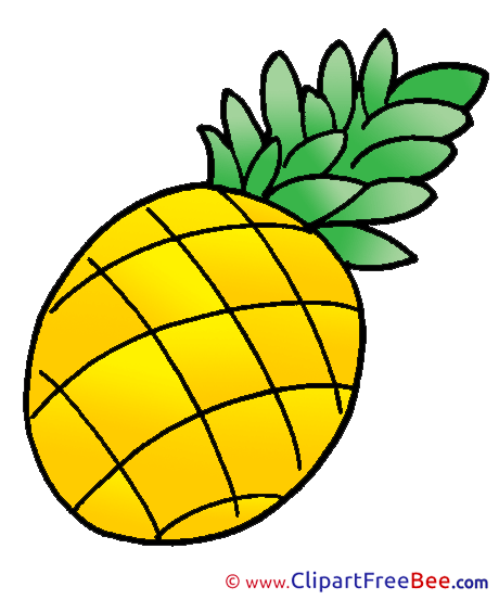 Ananas Clipart free Illustrations