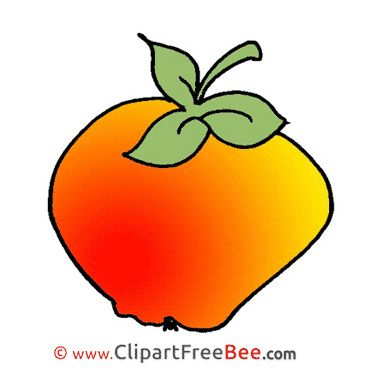 Apple free Illustration download