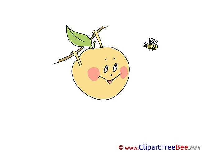 Bee Apple Pics free Illustration