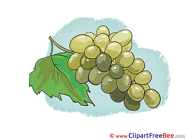 Bunch Grapes printable Illustrations for free
