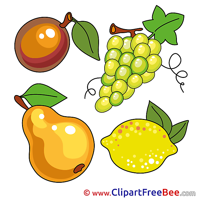 Drawing Fruits Clipart free Illustrations