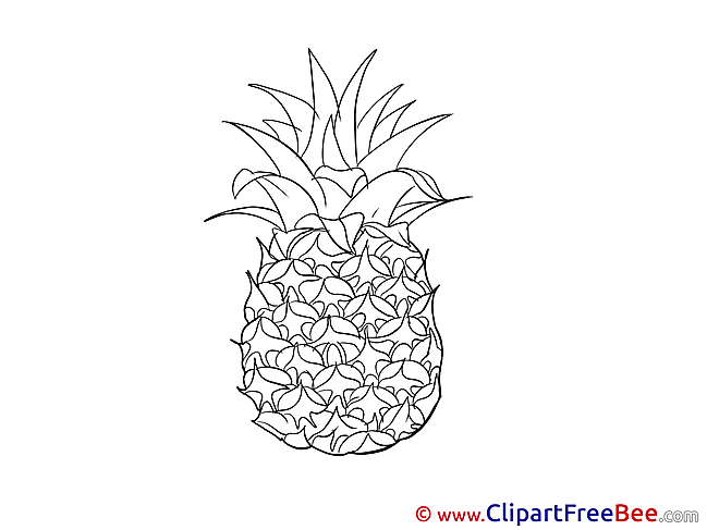 Exotic Fruit Ananas download Clip Art for free
