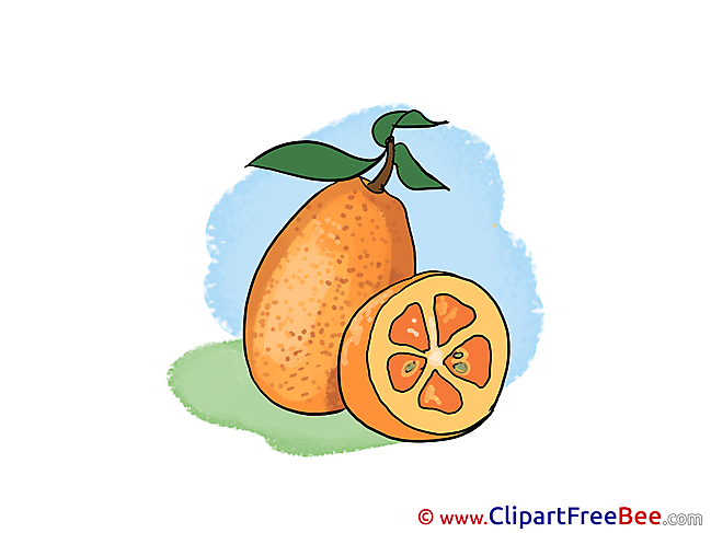 Fruit Leaves printable Illustrations for free