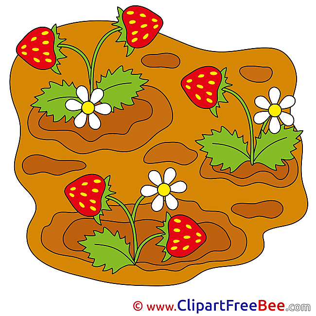 Garden Strawberry free Illustration download