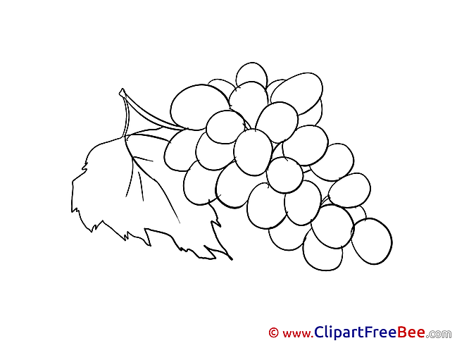 Grape Cliparts printable for free