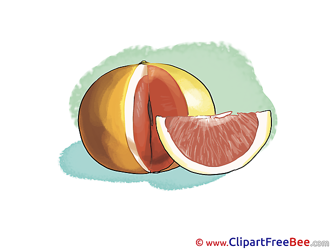 Grapefruit Pics printable Cliparts