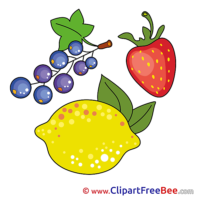 Illustration Fruits Lemon Currant Clipart free